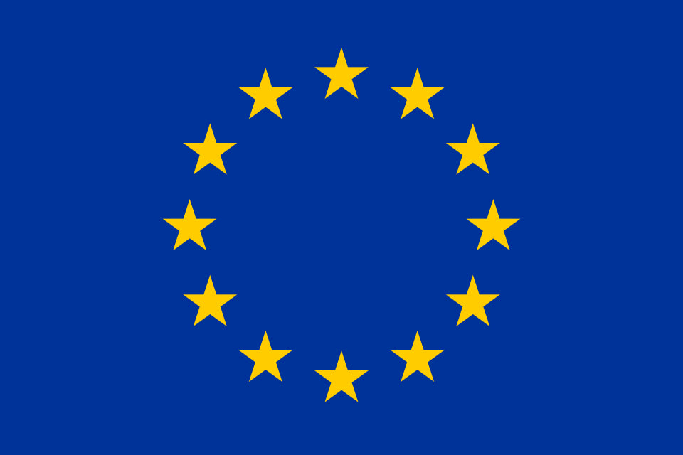 Euro Surplus